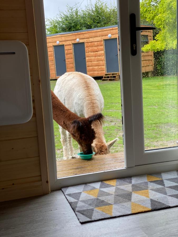 The Piggery Pod Hotel Sittingbourne Buitenkant foto