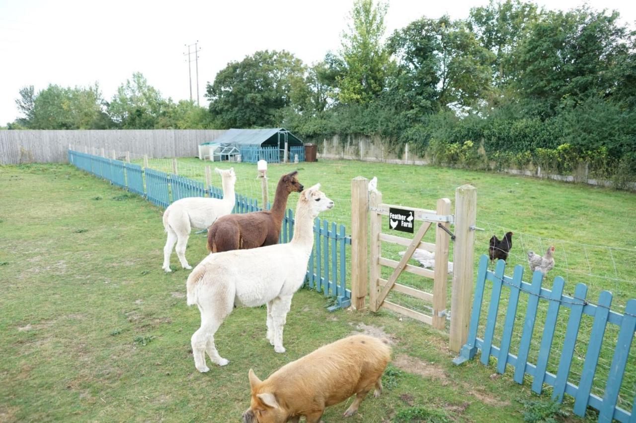 The Piggery Pod Hotel Sittingbourne Buitenkant foto